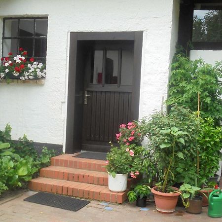 Ferienwohnung Bergfeld Lalendorf Exteriér fotografie